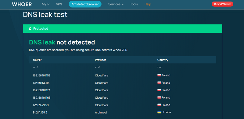 dns leak test