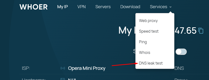 dns leak